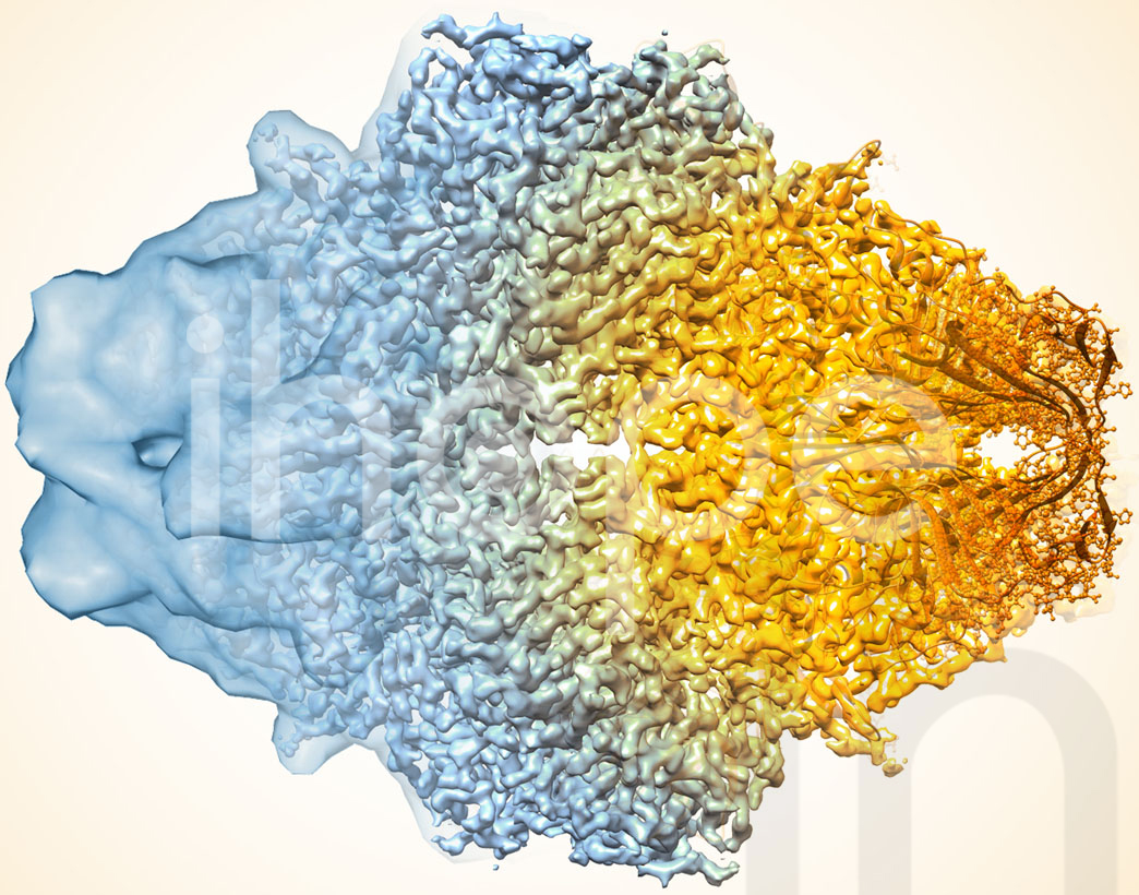 Protein được Chụp Bằng Kĩ Thuật Cryo Em