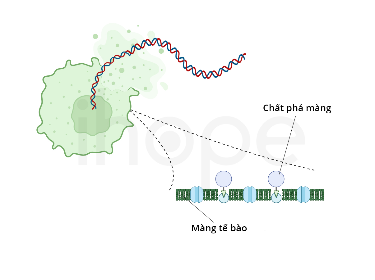 Tách Chiết Dna