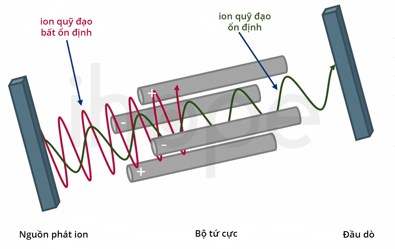 Tứ Cực