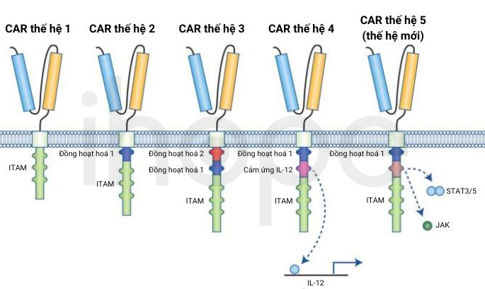 Các Thế Hệ Car 1