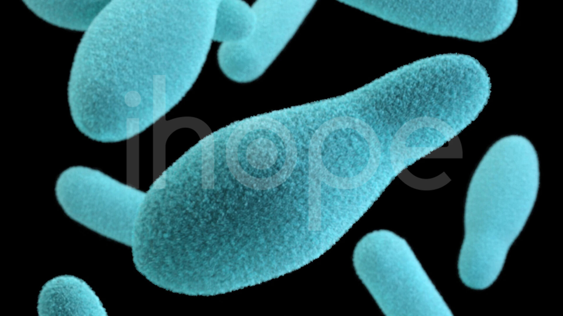 Botolinum
