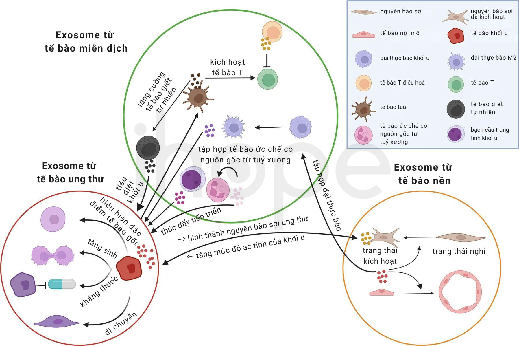 Các Loại Exosome 1