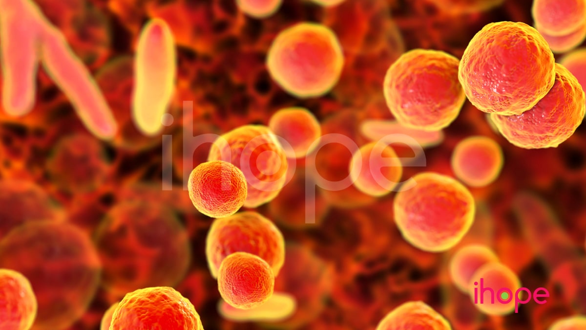 Vi Khuẩn Mycoplasma Genitalium Min