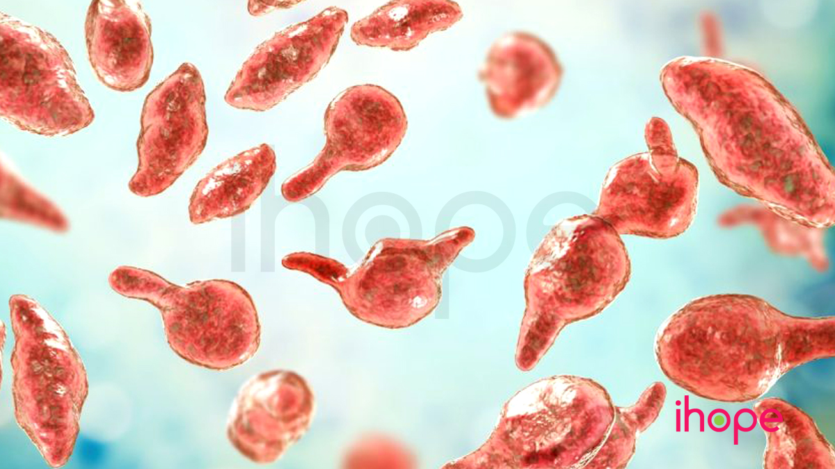 Vi Khuẩn Mycoplasma Genitalium