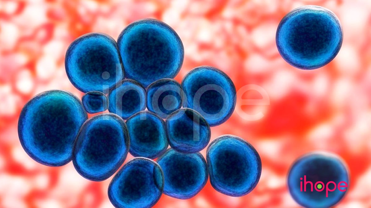 Vi Khuẩn Ureaplasma Urealyticum Min