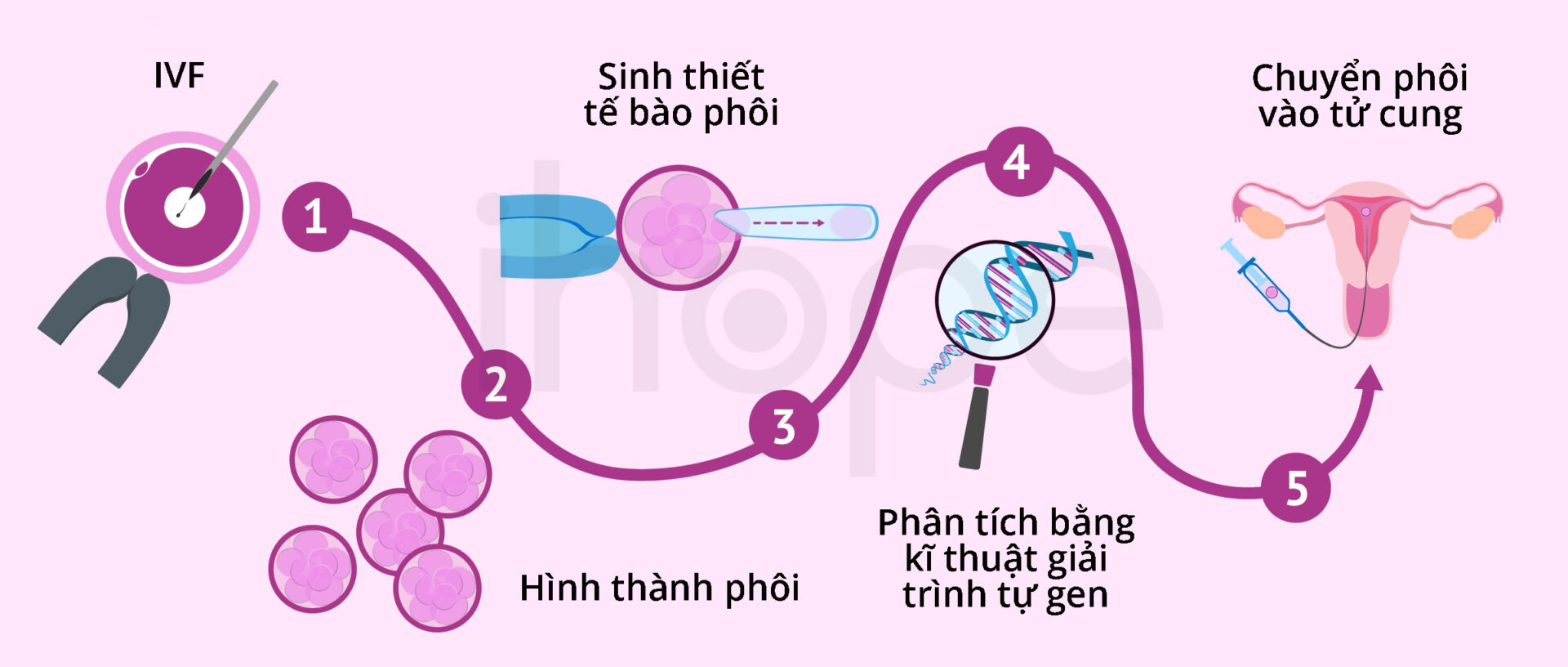 Quy Trình Xét Nghiệm Di Truyền Tiền Làm Tổ