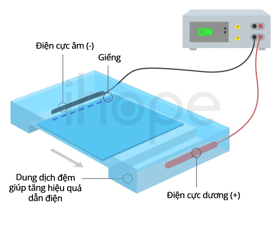 Điện Di Gel Agarose