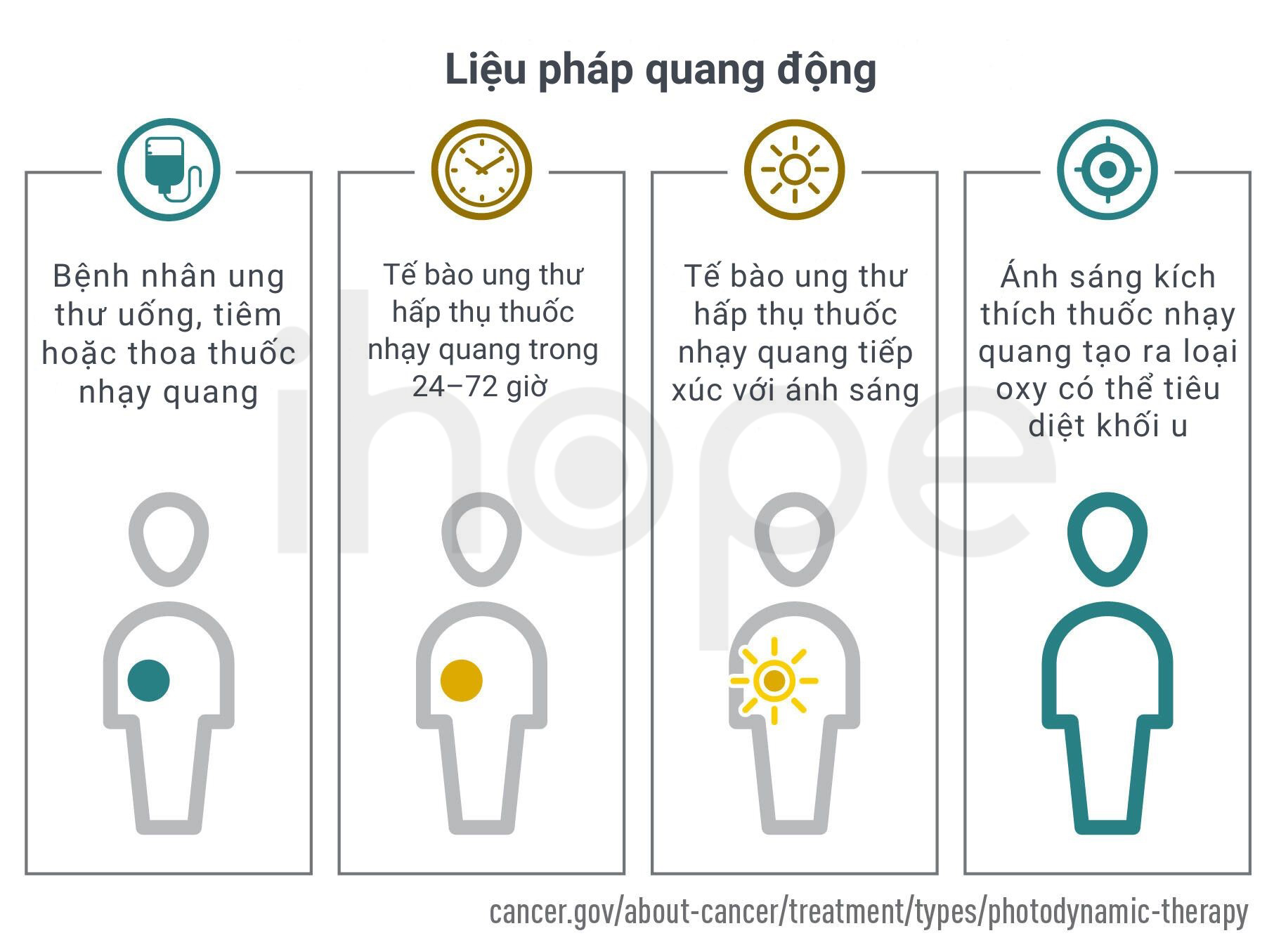 Quy Trình Liệu Pháp Quang động
