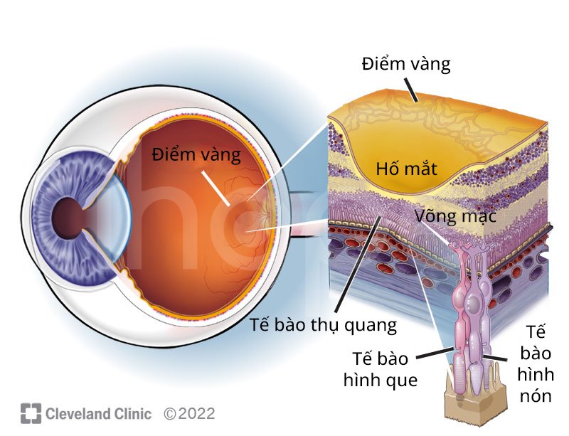 điểm Vàng