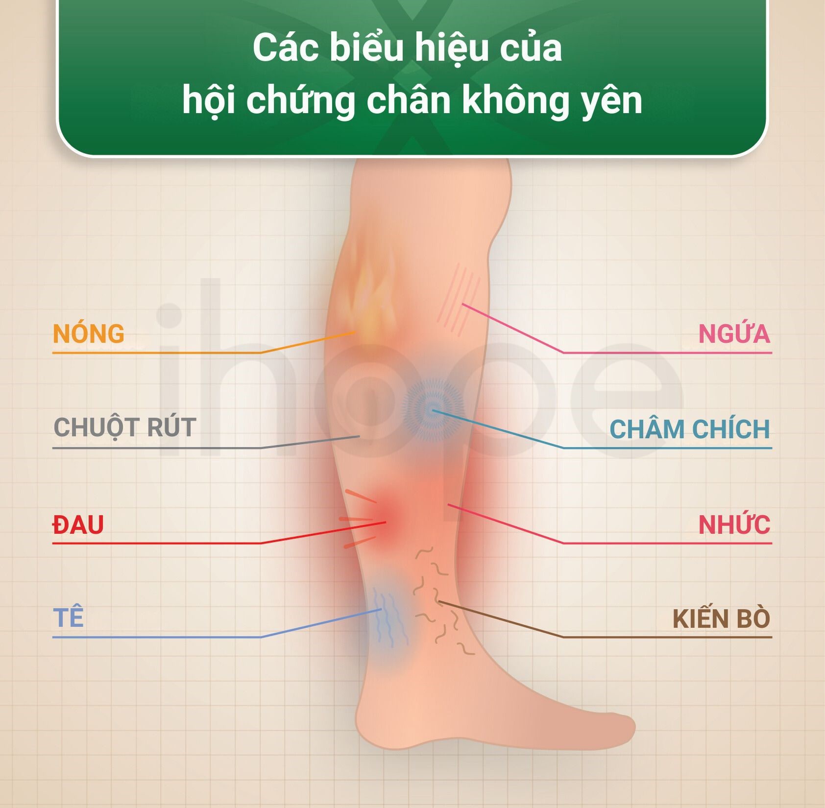Các Biểu Hiệu Của Hội Chứng Chân Không Yên Min