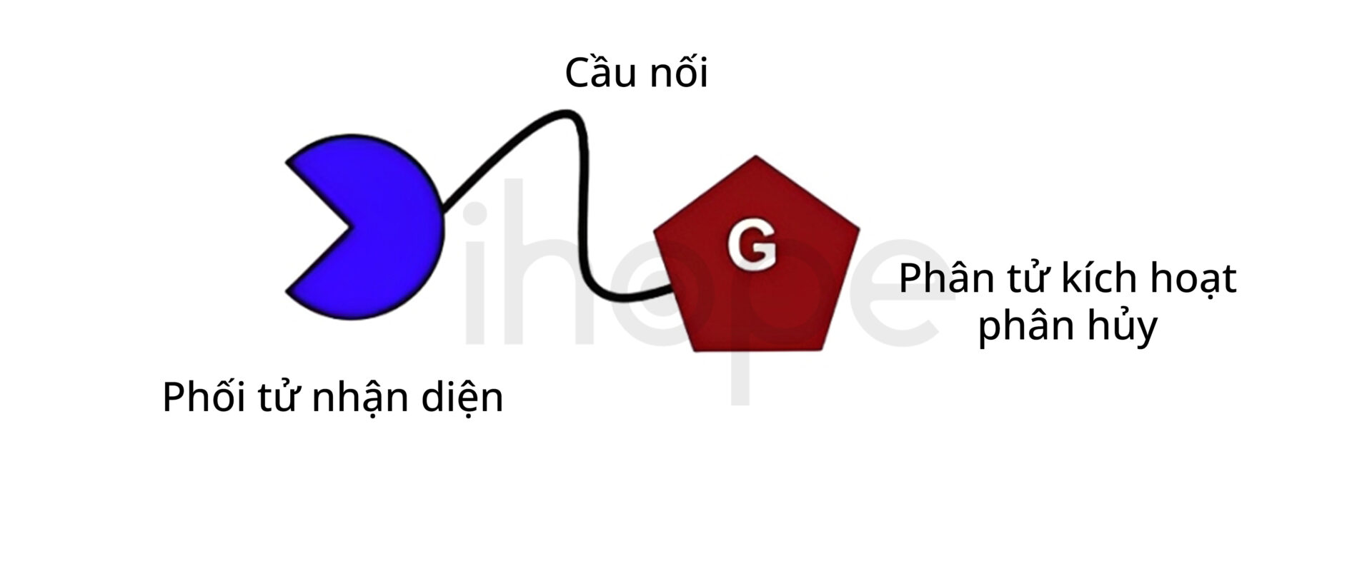Cấu Tạo Của Autac (1)