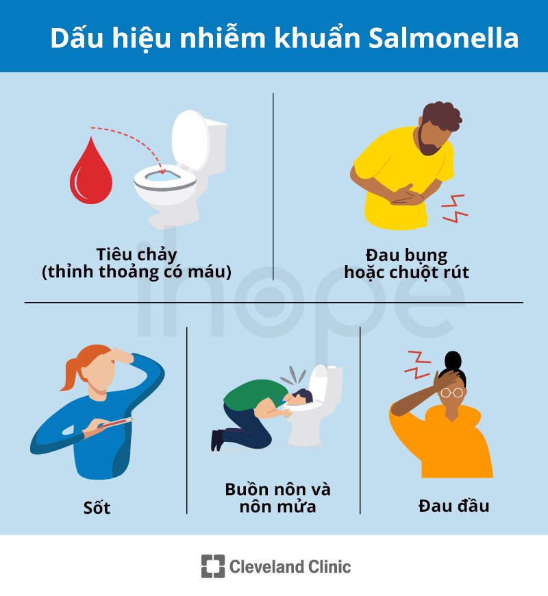 Dấu Hiệu Nhiễm Khuẩn Salmonella