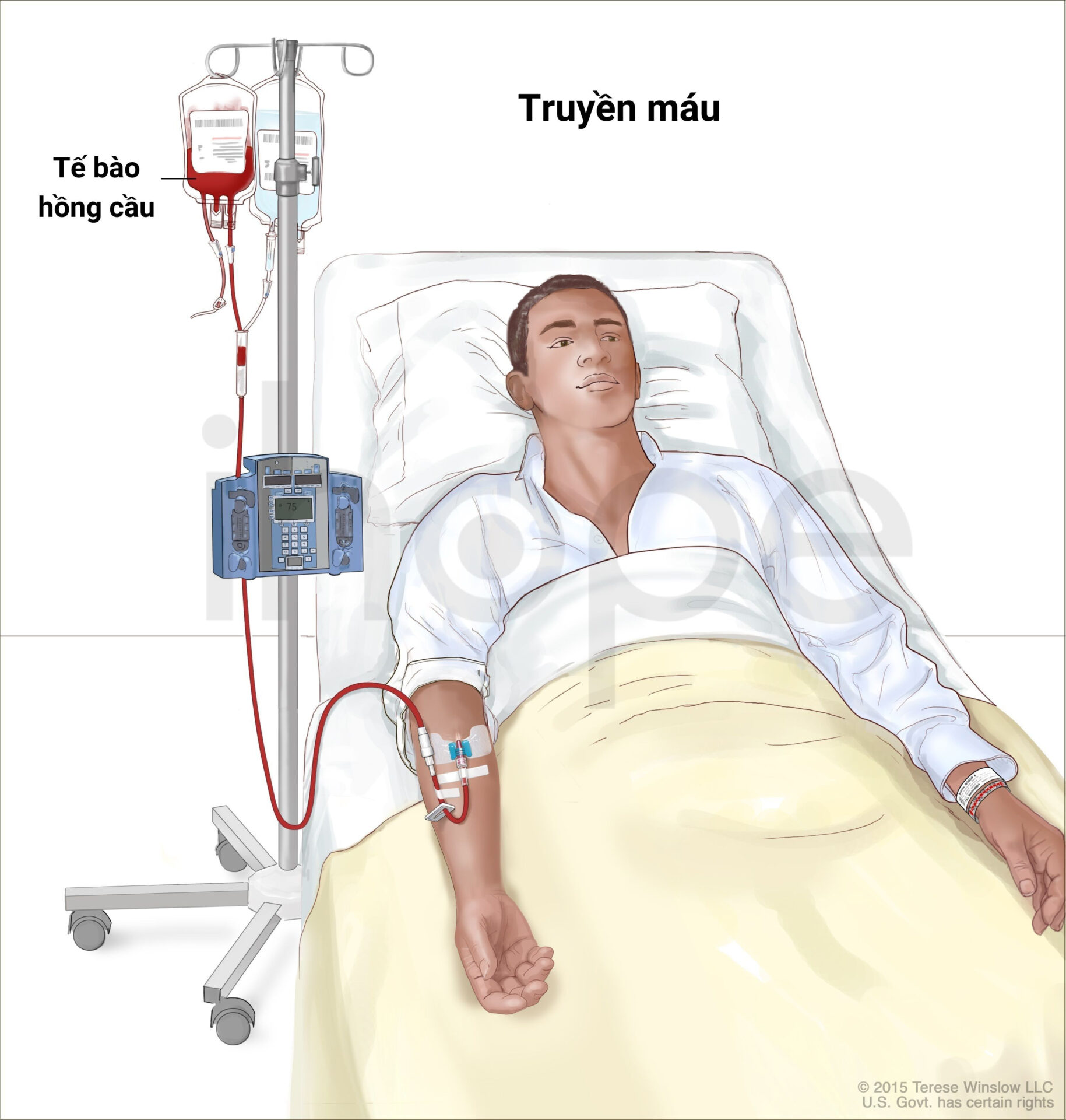 Truyền Máu