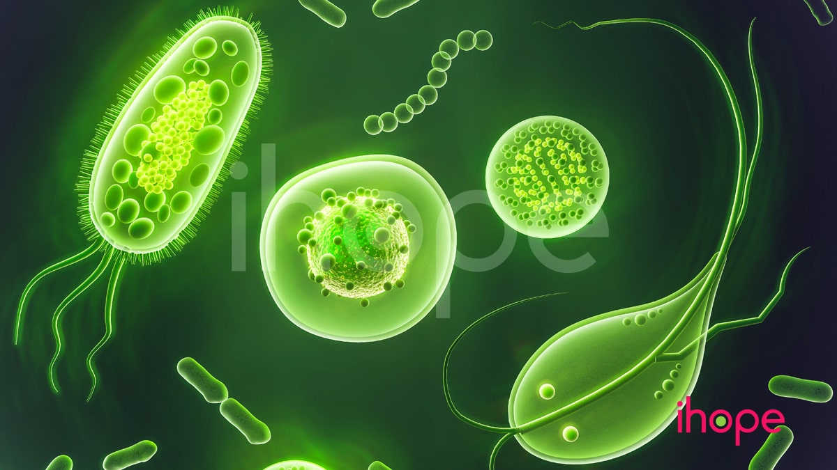 Liệu pháp phage