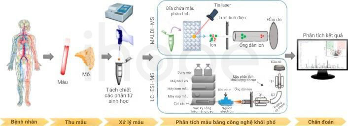 Qui trình MALDI-MS và LC-ESI-MS