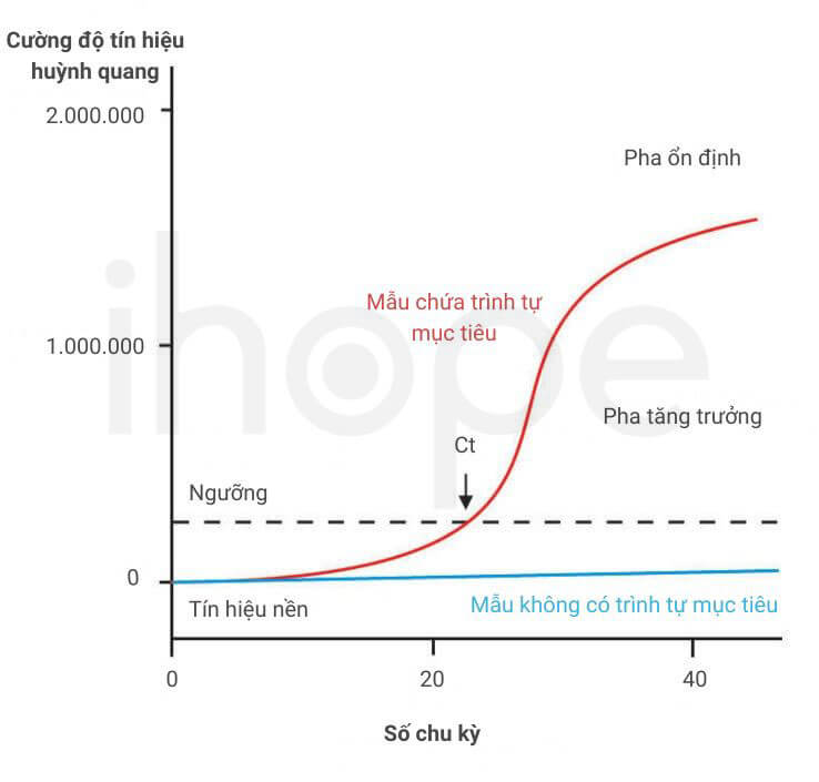 Biểu đồ kết quả realtime pcr