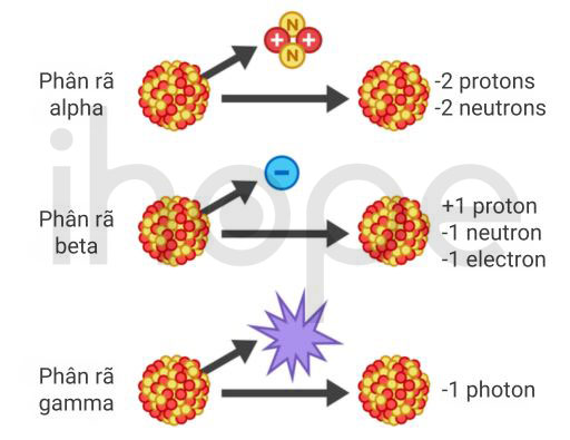 Các dạng phân rã phóng xạ