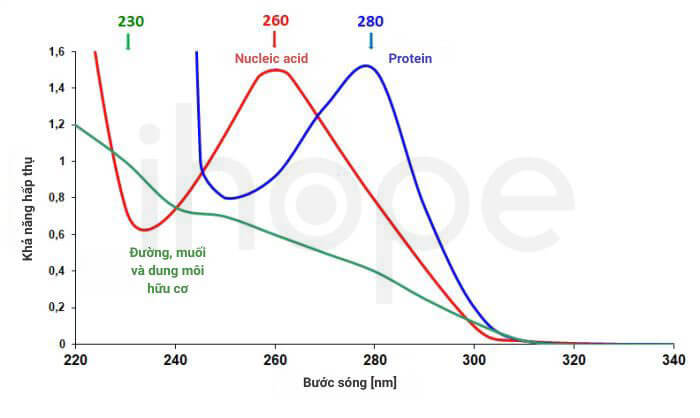 Phổ hấp thụ ánh sáng của nucleic acid protein và các hoá chất