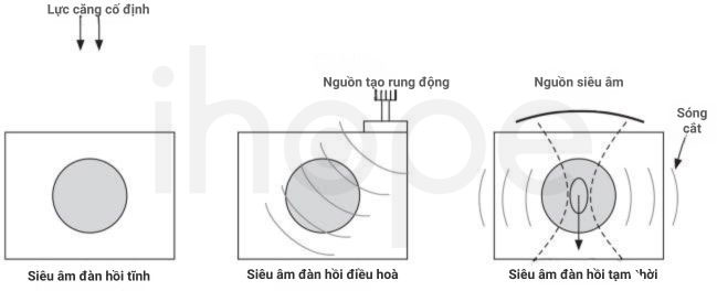 Nguyên lí siêu âm đàn hồi