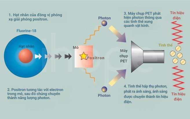 Nguyên tắc hoạt động của pet