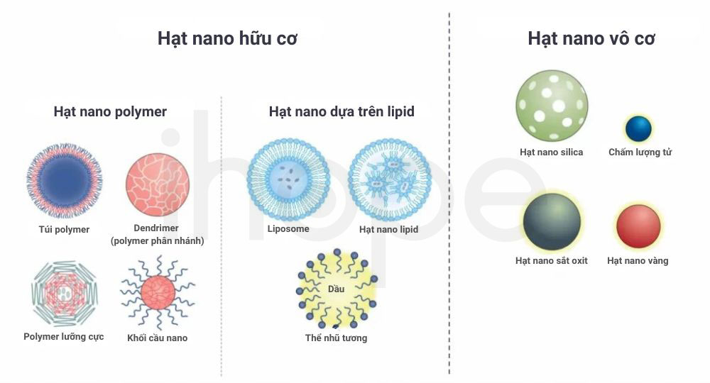Các dạng hạt nano mang thuốc