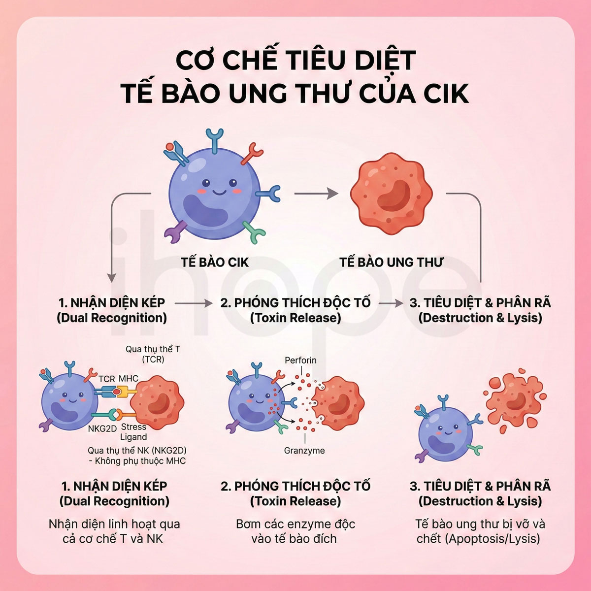 Cơ chế tiêu diệt tế bào ung thư của CIK