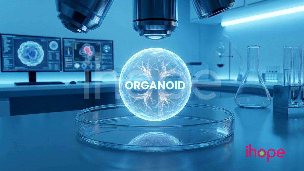 Cong nghe organoid