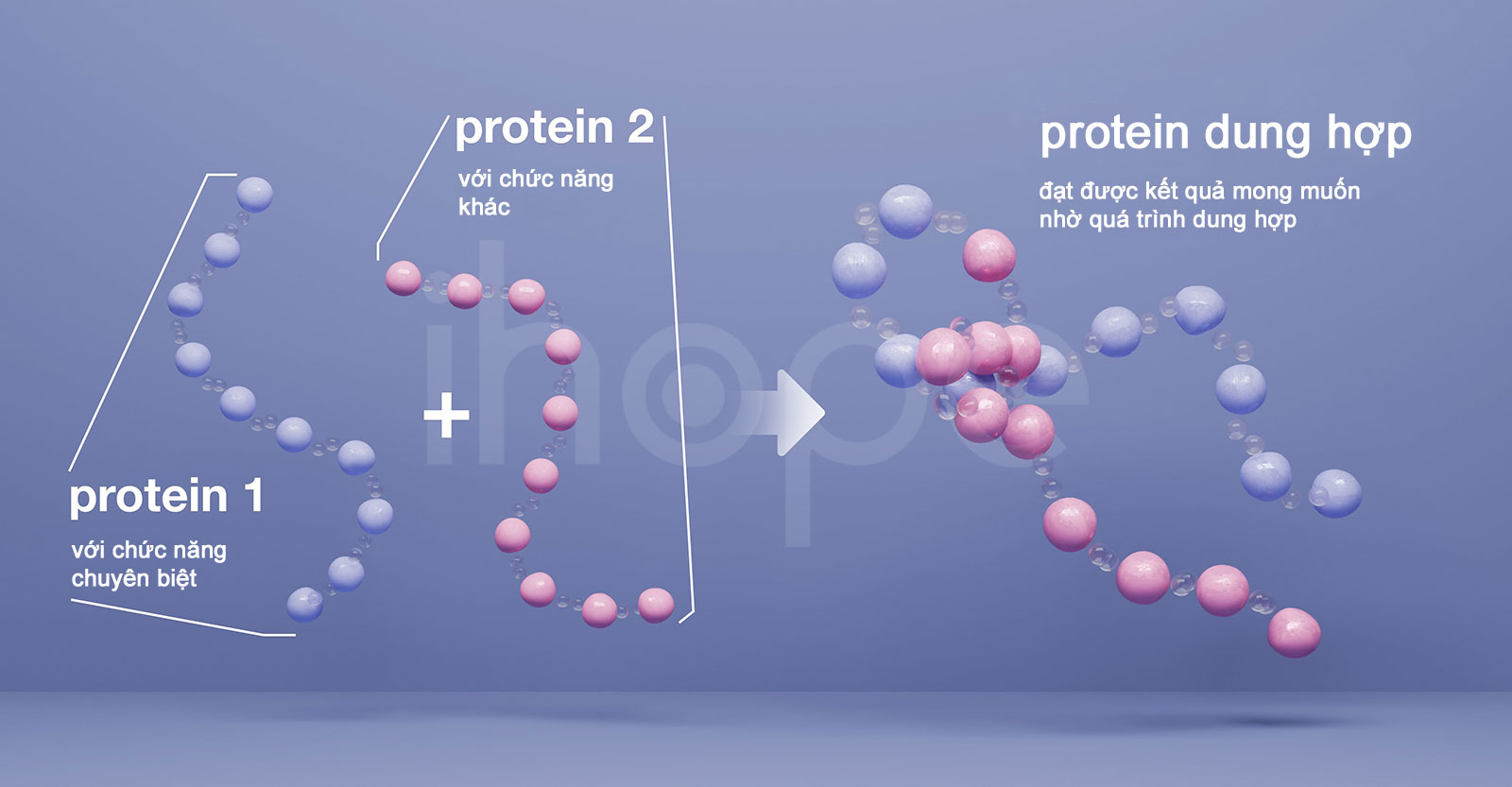 Quá trình dung hợp protein