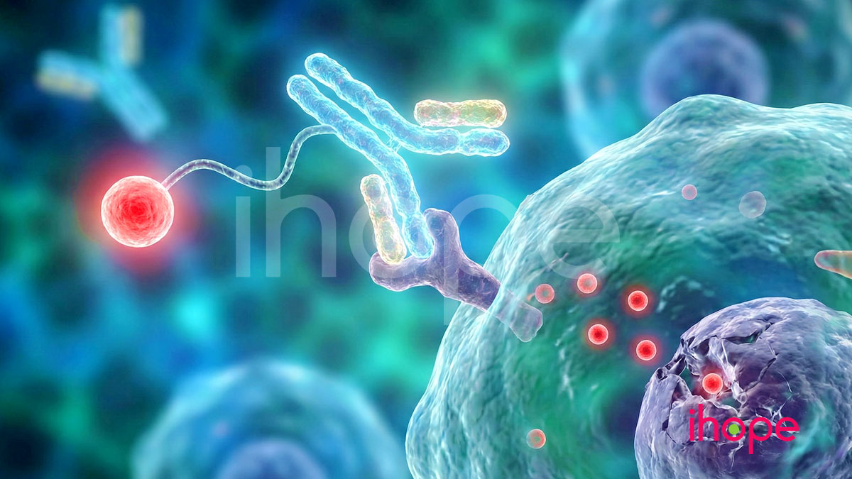 Immunoconjugates