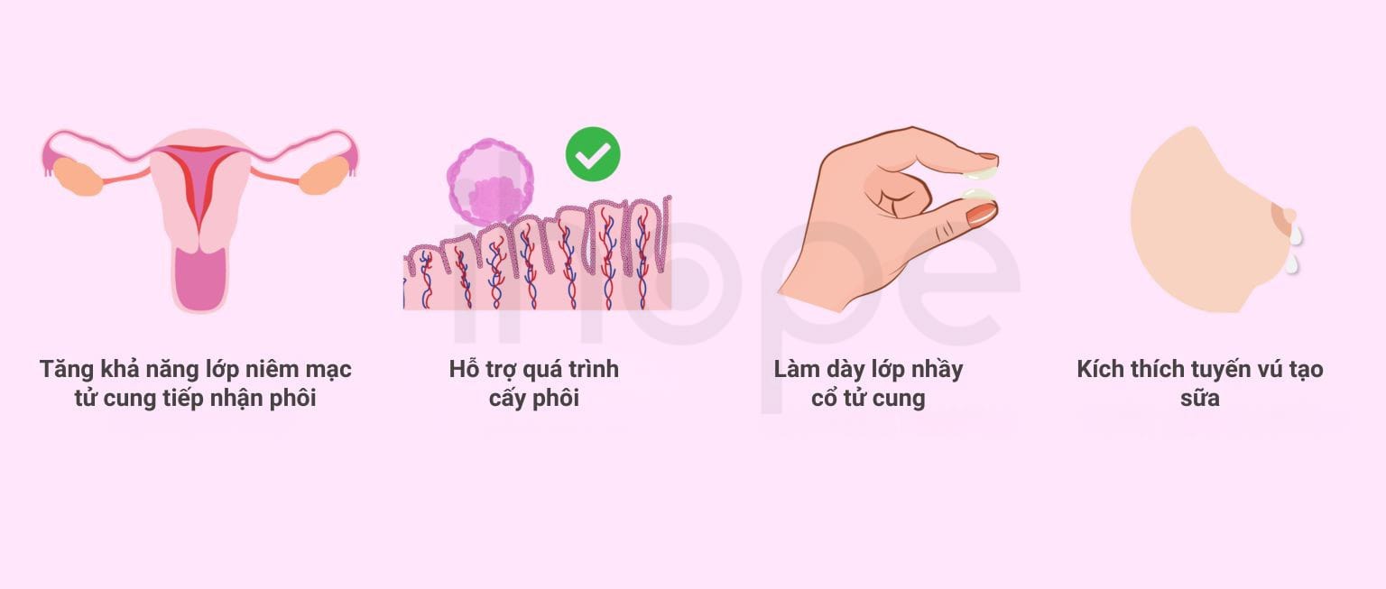 Vai Trò Của Progesterone
