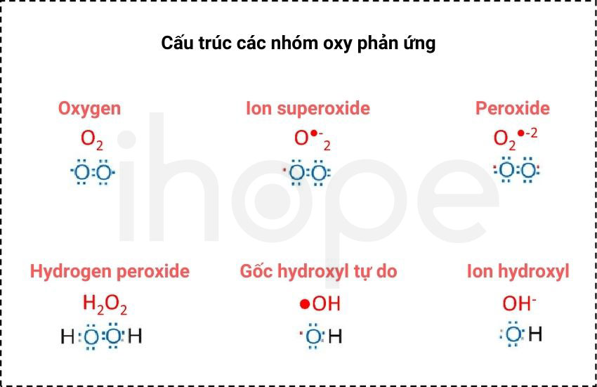 Cau truc cac nhom oxy phan ung