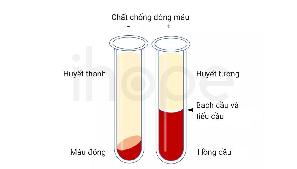Huyet thanh va huyet tuong