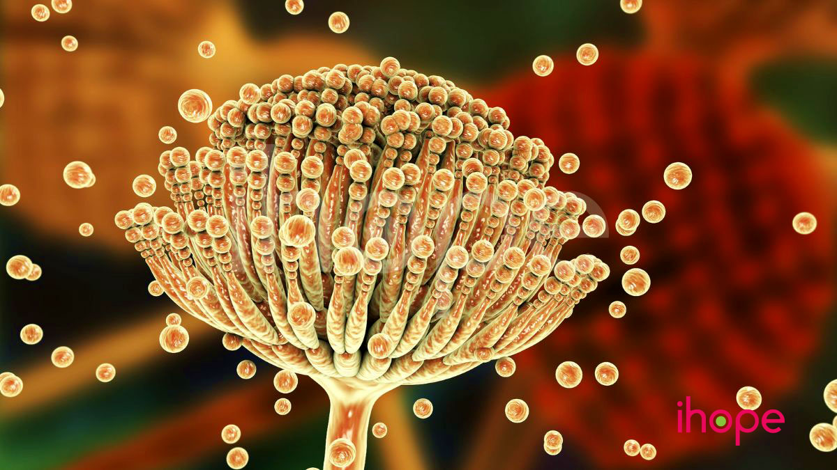 Nhiem nam Aspergillus cover