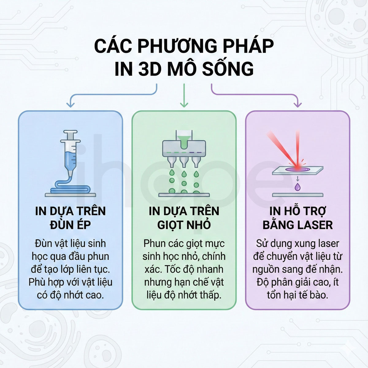 Các phương pháp in 3D sinh học