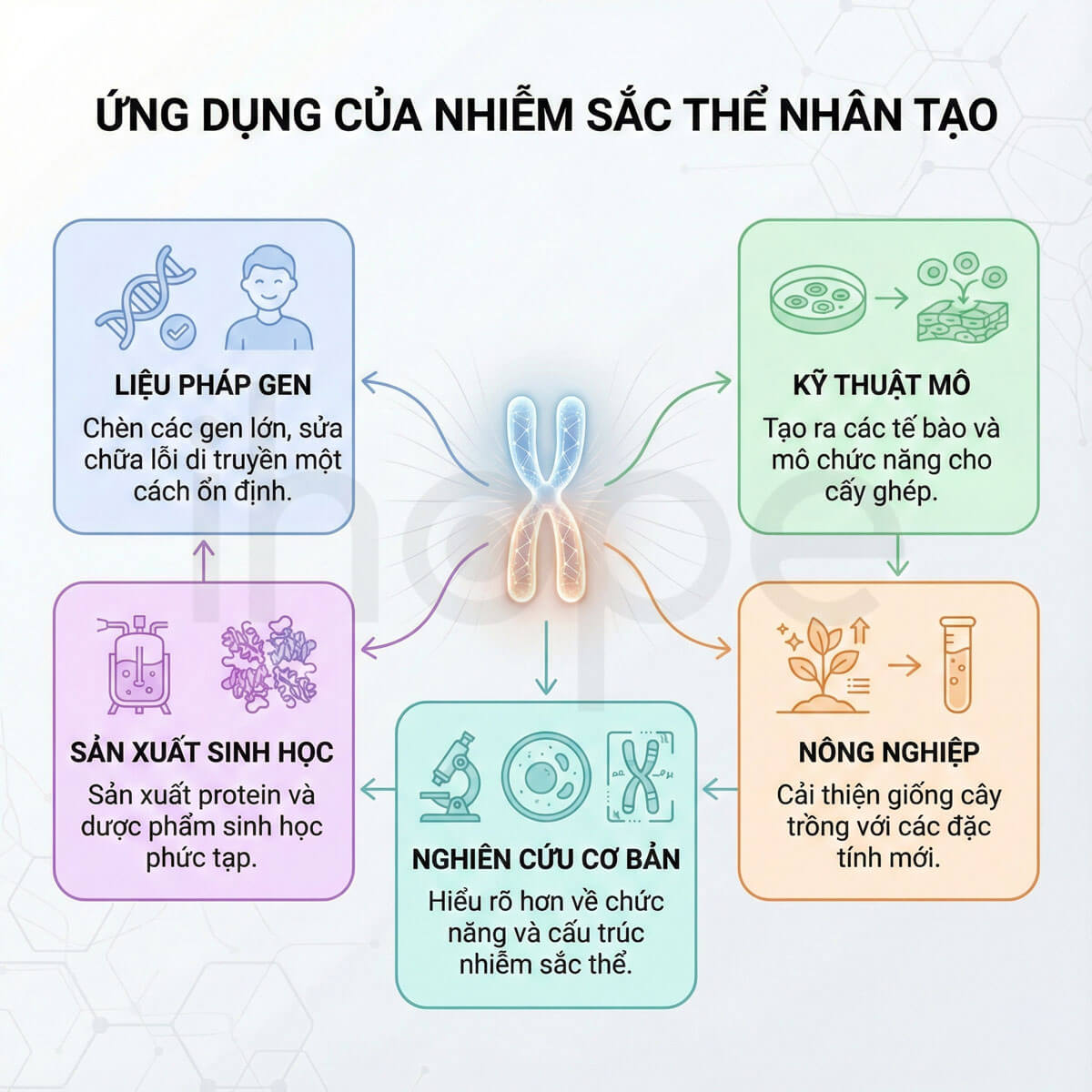 Ứng dụng của nhiễm sắc thể nhân tạo