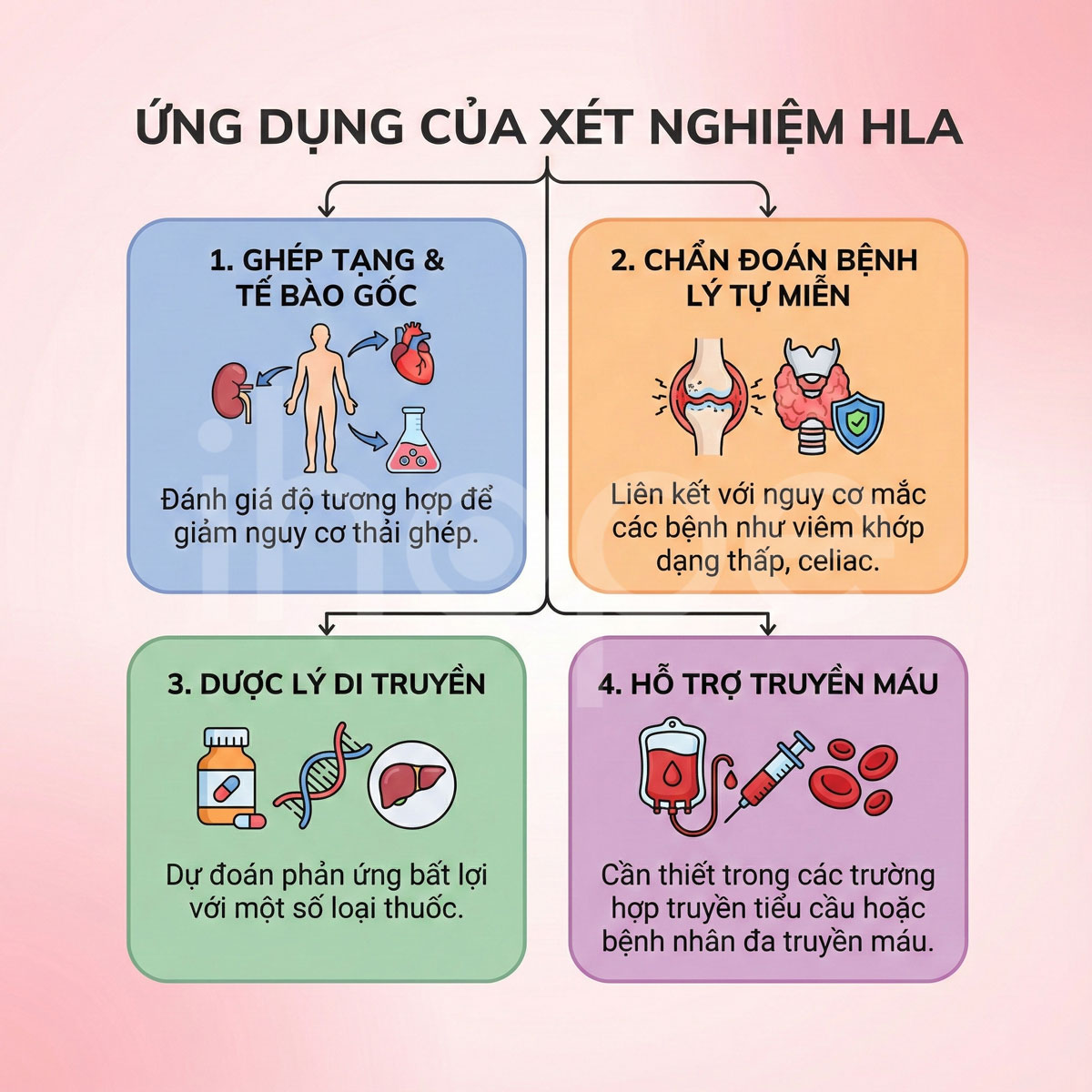 Các ứng dụng của xét nghiệm HLA