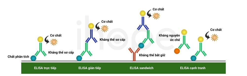 Cac loai xet nghiem ELISA