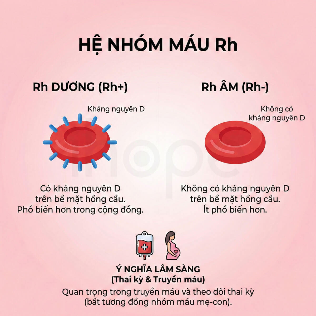 Hệ nhóm máu Rh