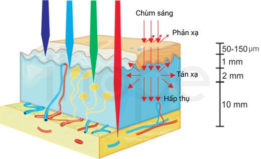 Hien tuong phan xa tan xa va hap thu anh sang trong mo