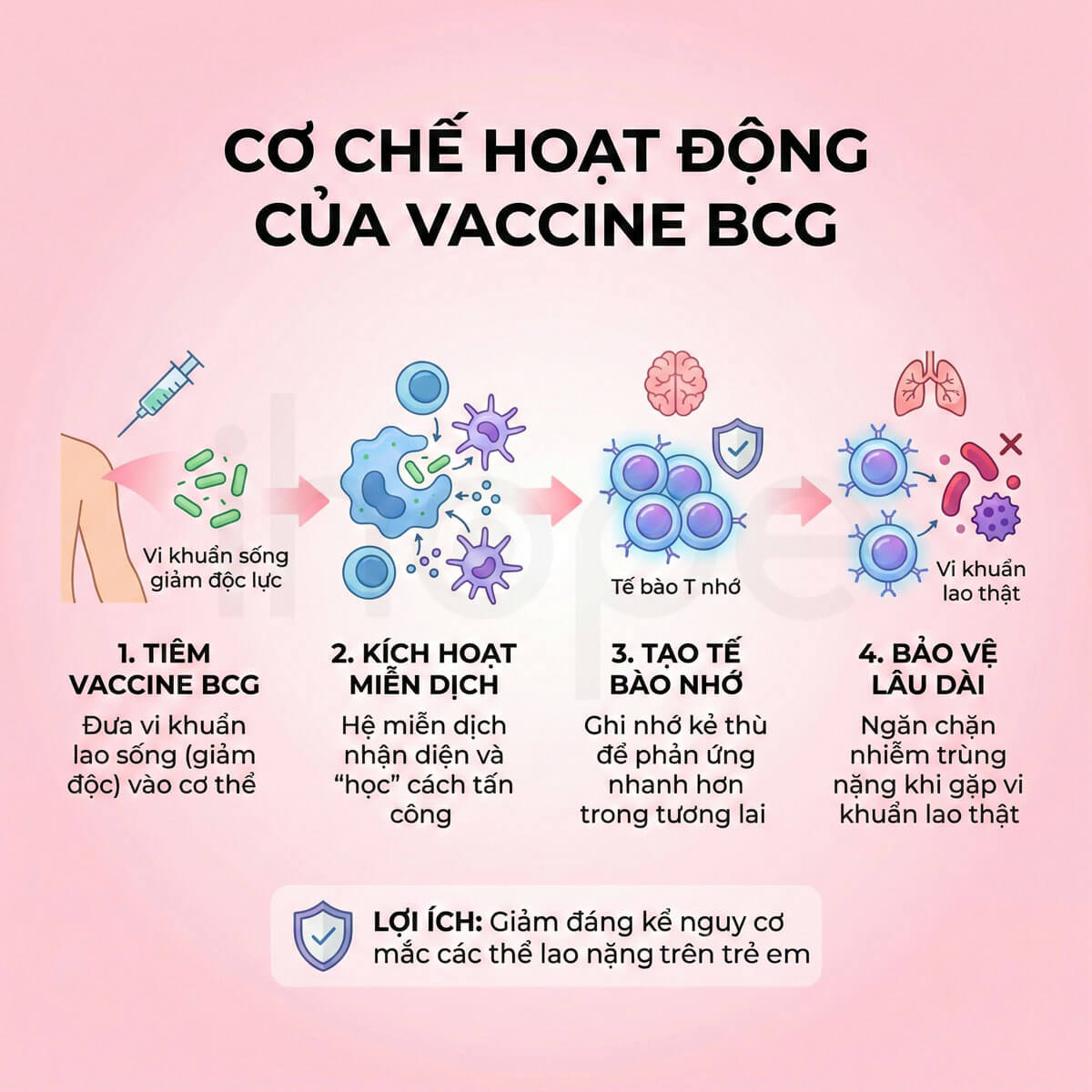 Cơ chế hoạt động của vaccine BCG