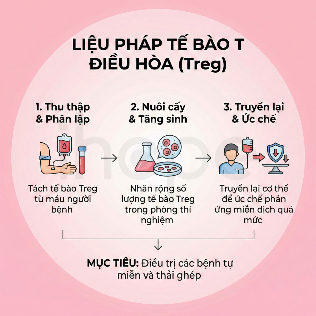 Liệu pháp tế bào T điều hòa