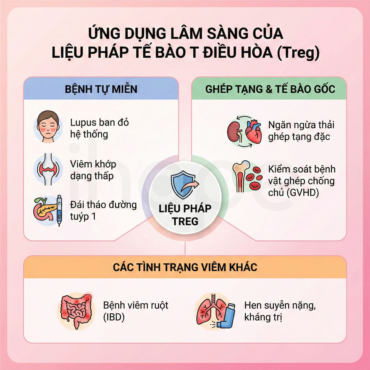 Ứng dụng lâm sàng của liệu pháp tế bào T điều hòa