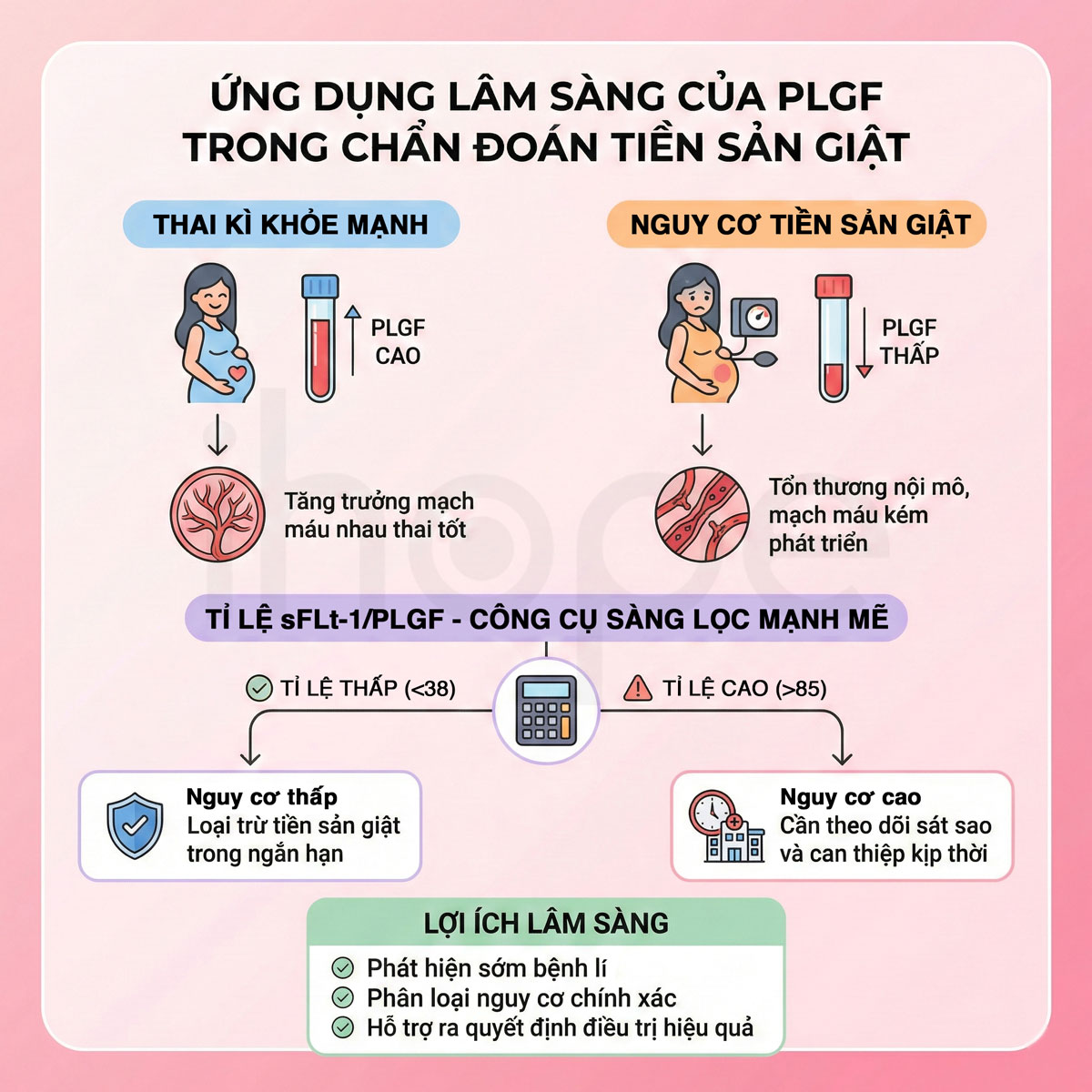 Ứng dụng PLGF trong chẩn đoán tiền sản giật