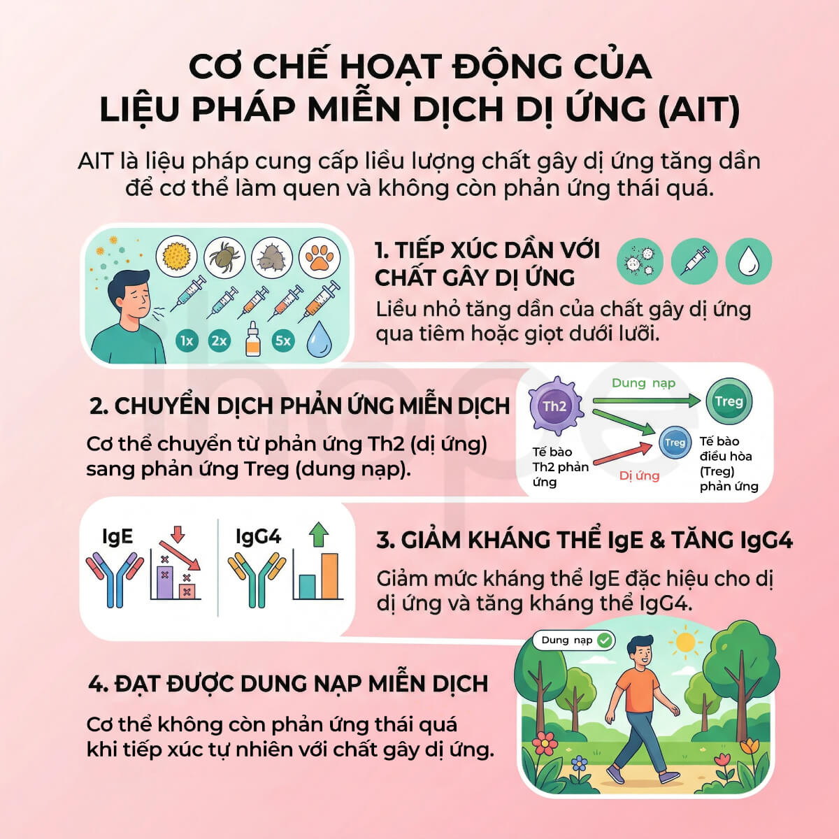 Cơ chế hoạt động của liệu pháp miễn dịch dị ứng AIT