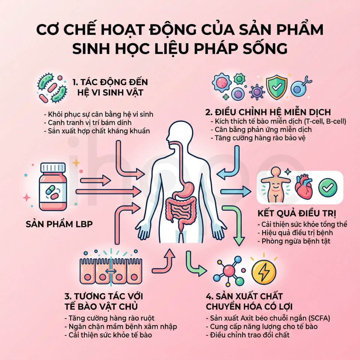 Cơ chế hoạt động của LBP