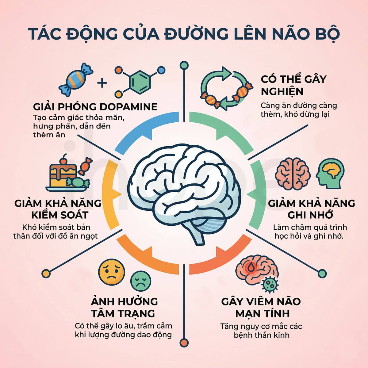Tác động của đường lên não