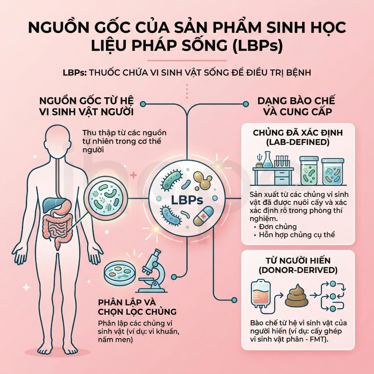 Nguồn gốc của LBP