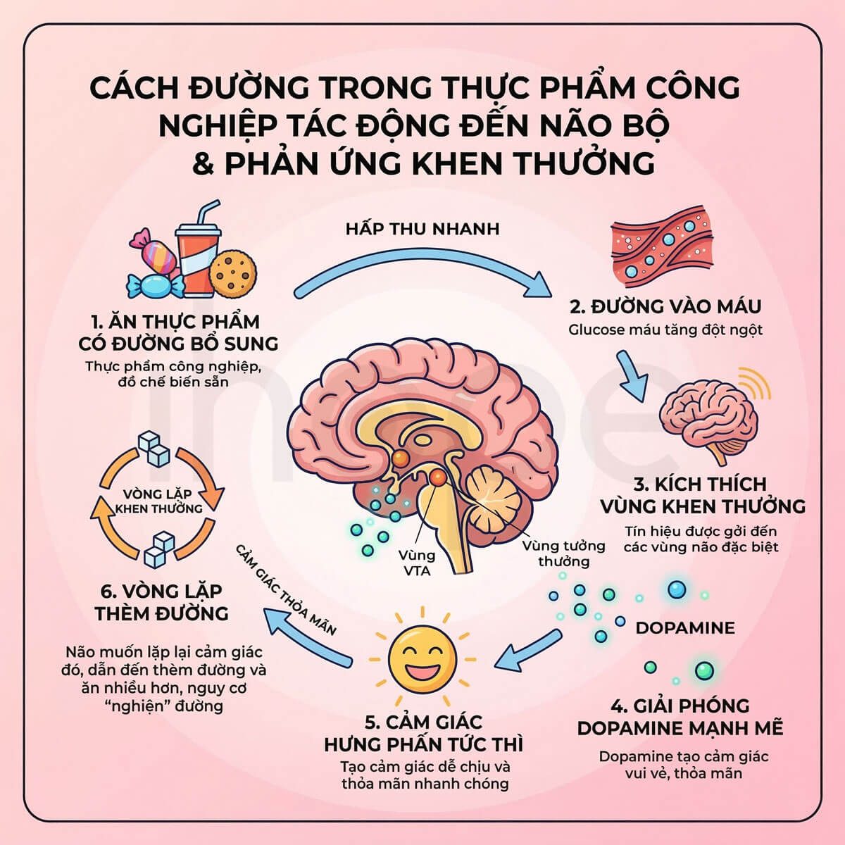 Đường tác động đến phản ứng khen thưởng của não