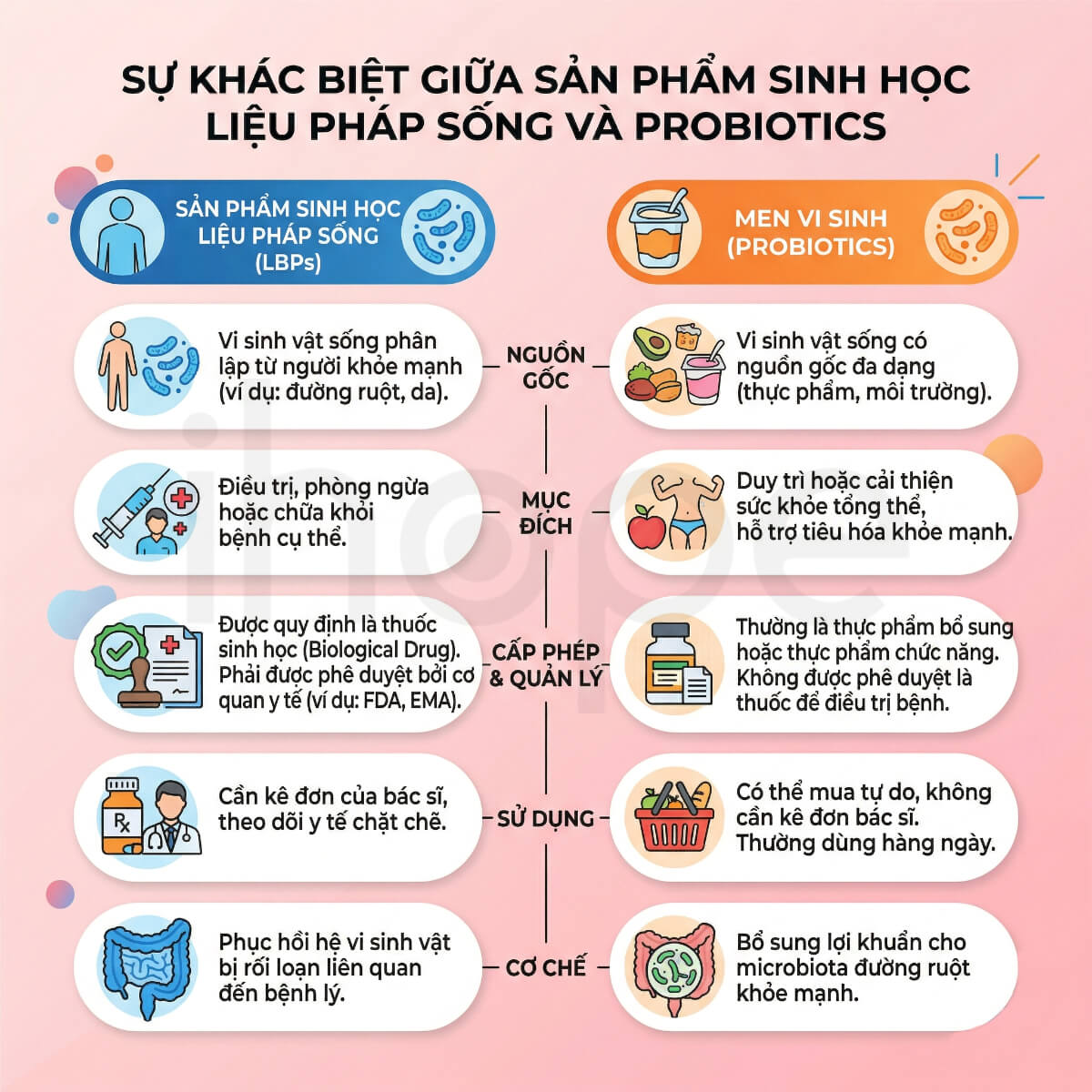 Sự khác biệt của LBP và probiotics
