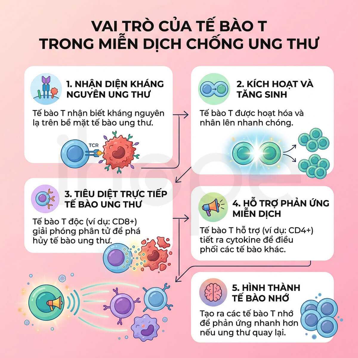 Vai trò của tế bào T trong miễn dịch chống ung thư